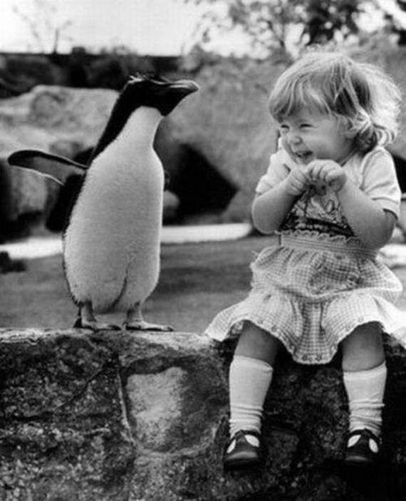 funny-cute-girl-giggling-with-penguin-01